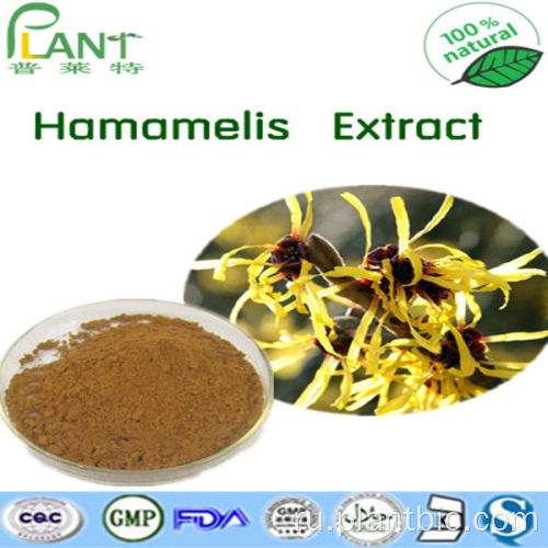 Заводская поставка чистых натуральных растительных экстрактов экстрактов HACKEL HAMAMELIS ведьма
